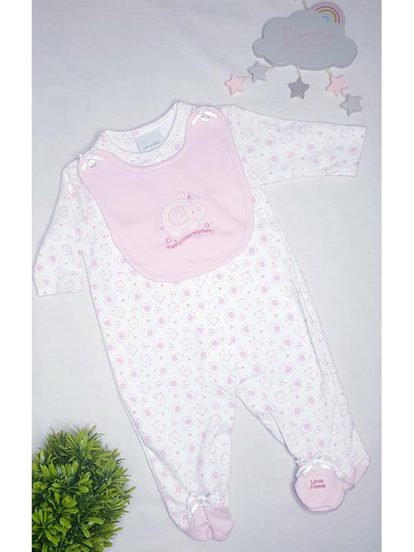 Dandelion 2 piece babygrow set